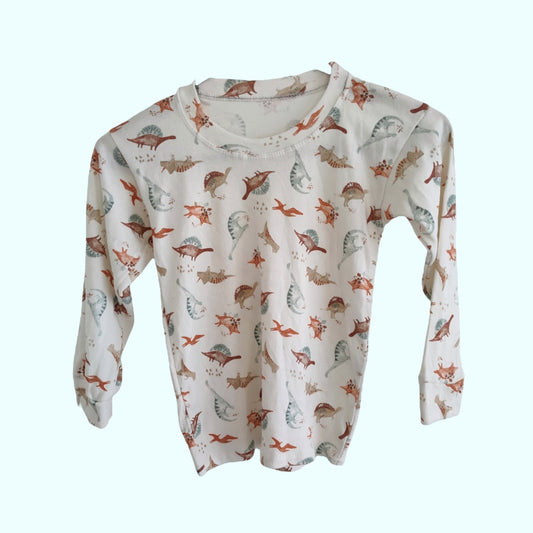 Colourful Dino Long Sleeve Shirt - LittleBunnies