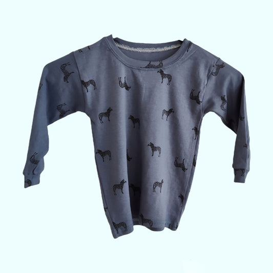 Zebra on Blue Long Sleeve Shirt - LittleBunnies