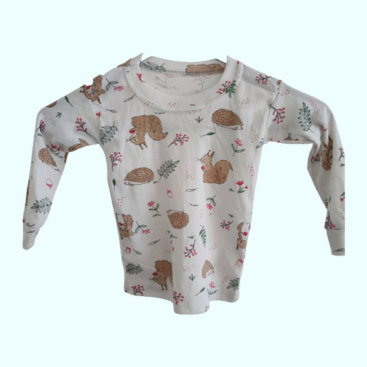 Squirrel and Friends Long Sleeve Shirt - LittleBunnies